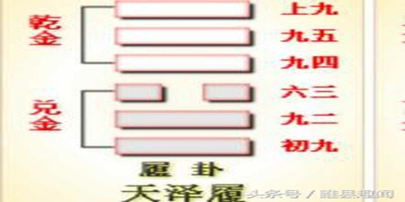 易经全文及白话翻译（完整版）第八卦、九卦、十卦