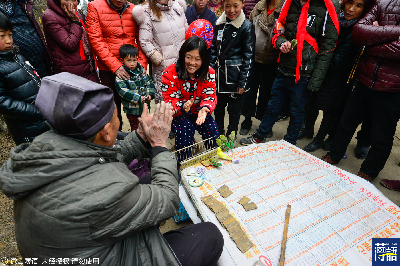 “神鸟”占卜生意火爆，有些却门可罗雀