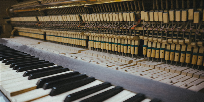 81年属鸡的命中再婚吗(今年枯木逢春)