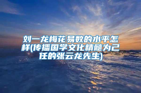 刘一龙梅花易数的水平怎样(传播国学文化精髓为己任的张云龙先生)