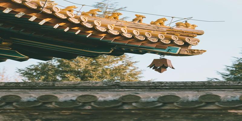 东北人嘴里到底能蹦出多少奇怪的四字词语?