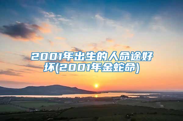 2001年出生的人命途好坏(2001年金蛇命)