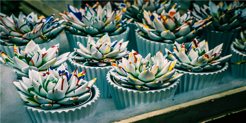 娱乐圈最喜庆的一天,4对夫妻结婚,日剧女神怀孕,有人却犯错了