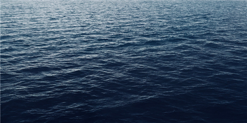 31岁属蛇女的婚姻(属鸡和属鸡婚姻)