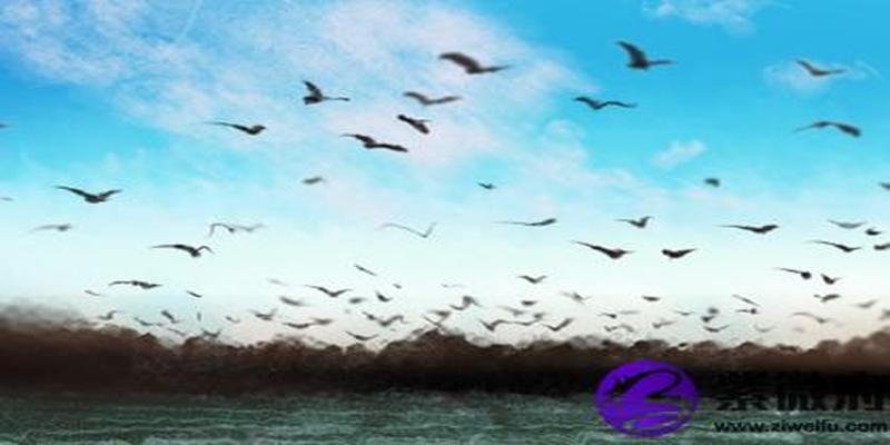 72年桑柘木命是什么意思(1973桑柘木命是什么意思)