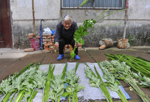 端午节悬挂艾草讲究多，别犯“忌”，这样做会被人笑话