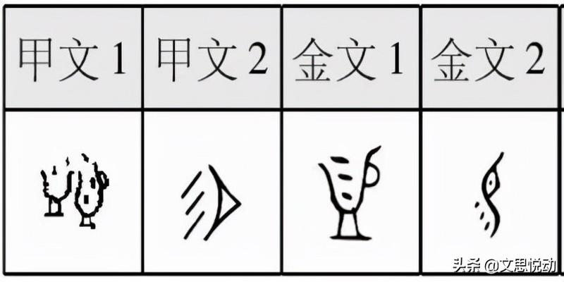 王东岳132.《易经》的“易”究竟是什么意思？