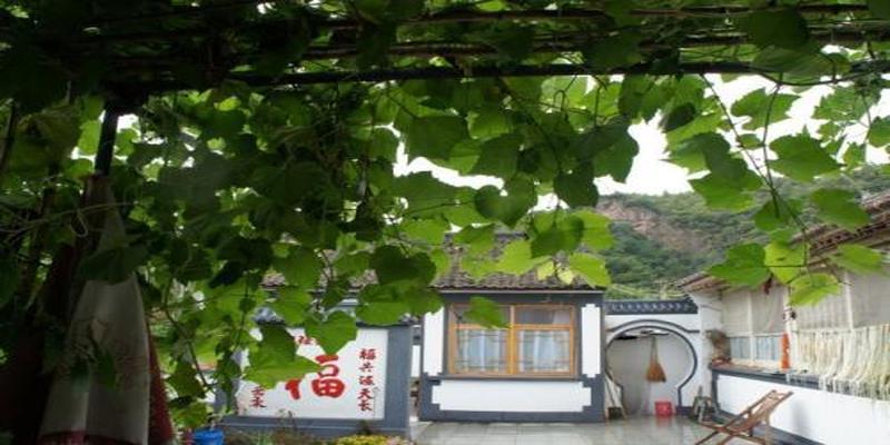 院子里种上这8种树,顺风顺水,风水特别好!