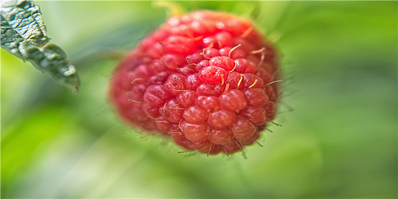 八字喜神用神如何确定(周易起名如何准确判断喜用神和忌神)