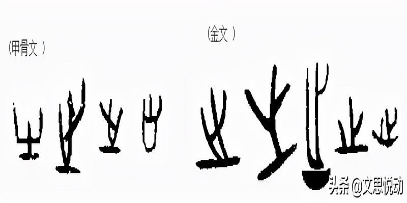 王东岳130.《周易》真是周文王所做吗?