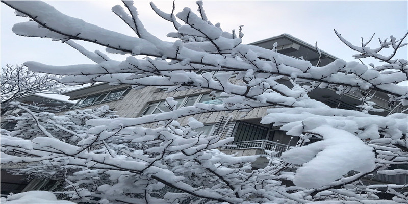 云南的一场雪,让20220222有了白头偕老的美好之约
