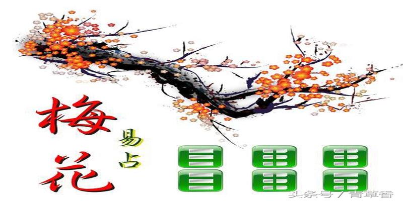 梅花易数哪个版本好(梅花易数万物类象口诀及外应断事口诀)