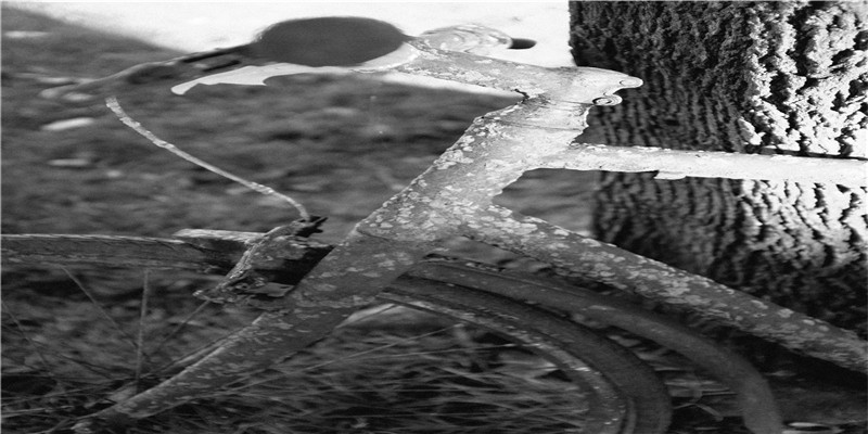 12上升高智商都在哪?这个智力三星座终结者,打开你的高层次心智