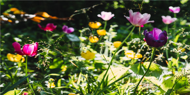 2012属龙男孩取名宜用字(属龙人取名字宜用字)