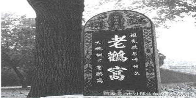 菏泽市开发区史话之十八  溯源“大槐树”，铭记“老鹳窝”  ——亿万中国人的血脉密码和移民情结