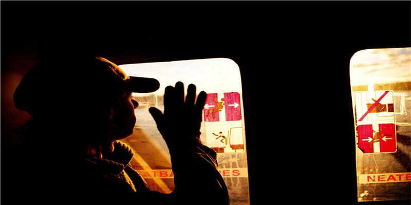 83年属什么的生肖属相(生肖金银币的投资策略)