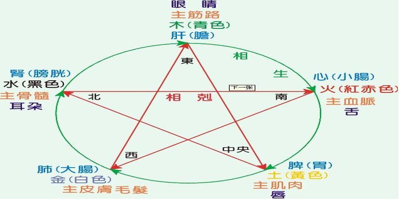 八字中的地支揭示了地气运动的规律，地支中共有十二个元素