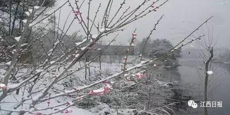 三生三世十里桃花?这里可不止百里!去武宁花源谷感受桃花雨……