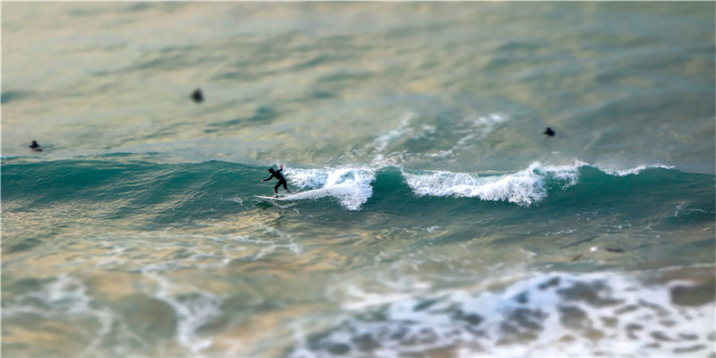 牛年给宝宝起个带“草”字头的名字,个个不愁吃穿,干净自然
