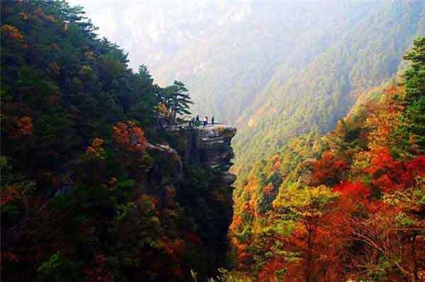 万能六爻排盘(周易六爻占卜入门知识)