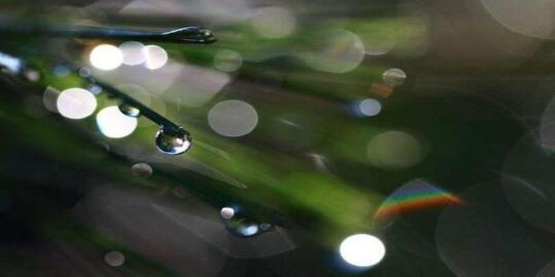 63年属兔人今日财运方位(十二生肖6月22日今日运势排名)