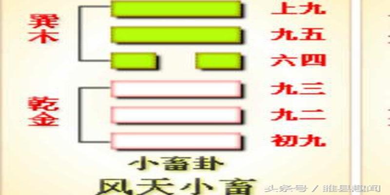 易经全文及白话翻译（完整版）第八卦、九卦、十卦