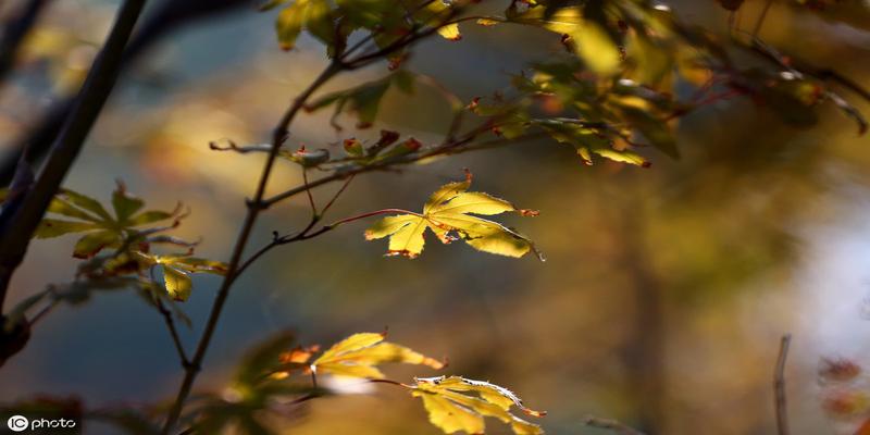 八字命理断事技巧,一看八字就能断准的秘诀,不外传的算命方法