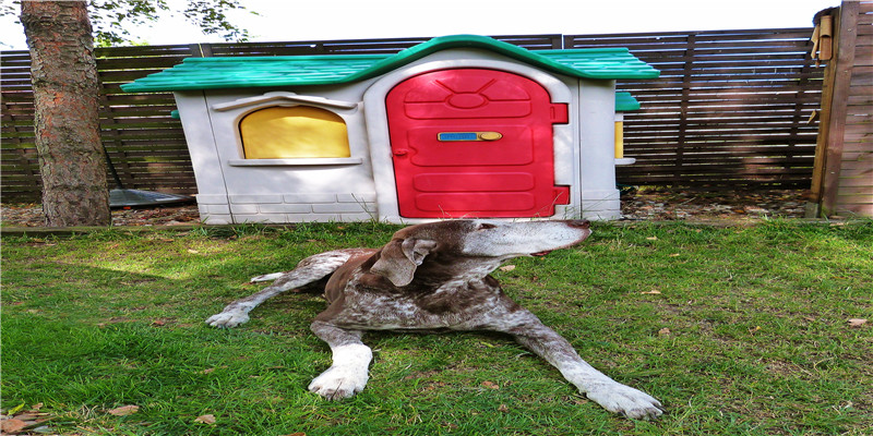 梦到孩子丢了找不到是什么征兆(梦见电视剧是什么意思)