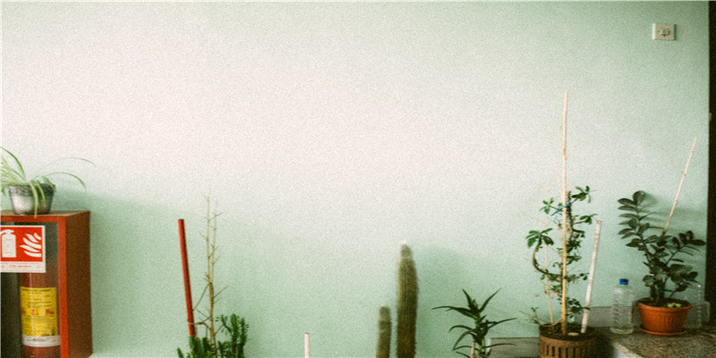 貔貅招财该怎么戴?不同造型,材质的貔貅都大有讲究!