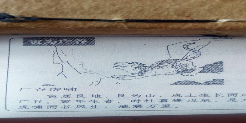 神奇的梅花易数……教你占卜,最简单准确的预测法