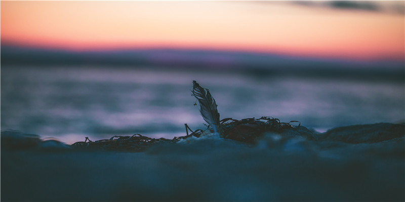 充满性暗示的名字(有明显性暗示的网名)