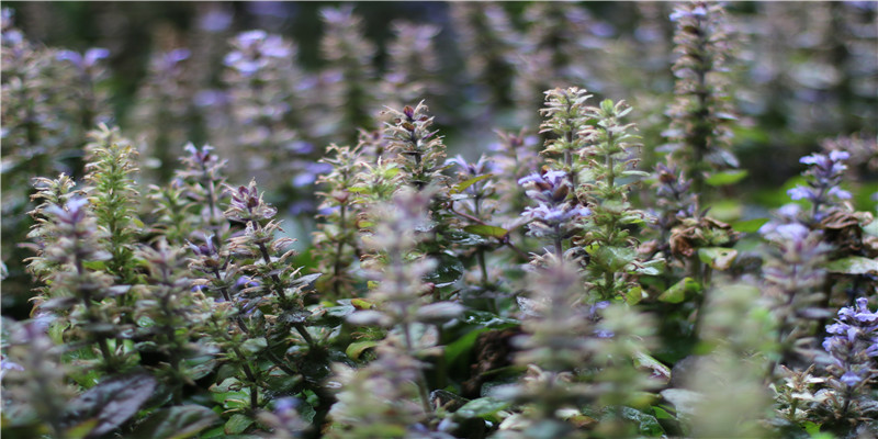 4月3日出生的人很可怕(李云龙你真他娘的天才)