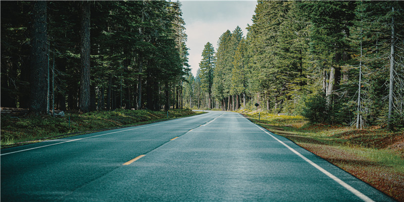 梦到家里老人去世办丧事(梦到家里老人去世办丧事又活了)