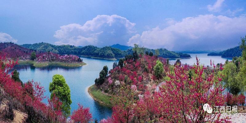 三生三世十里桃花?这里可不止百里!去武宁花源谷感受桃花雨……