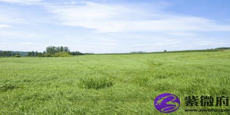 1991年路旁土命好不好?得禄之羊是什么意思