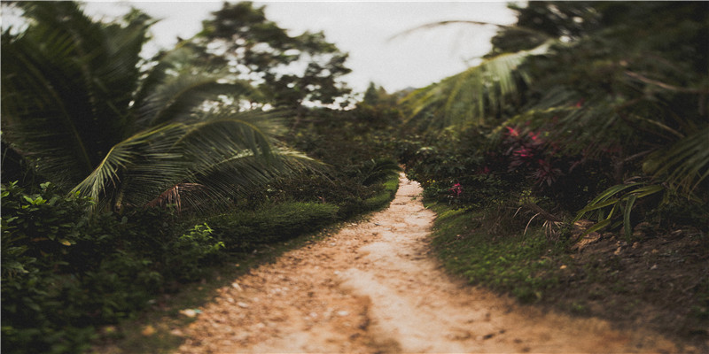 梦到妈妈怀孕(梦到妈妈怀孕什么预兆)