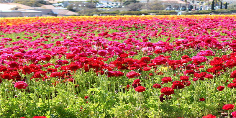 卡戴珊家疯狂狗血的一年!离婚订婚,出轨复合,小小妹偷偷生二胎