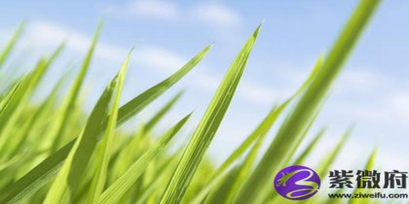 壁上土和大林木和吗 壁上土和大林木相克吗