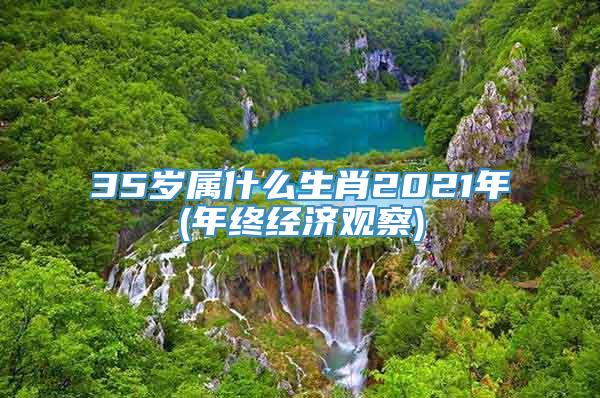 35岁属什么生肖2021年(年终经济观察)