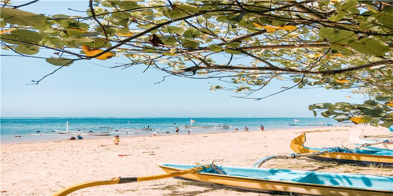 农村俗语“脸有酒窝，脖后有痣，身有胎记”，不是报恩就是寻仇