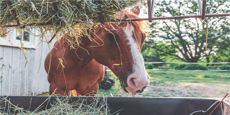 100个诗意的名字,全部来自诗词!给宝宝取名必备,赶紧收藏