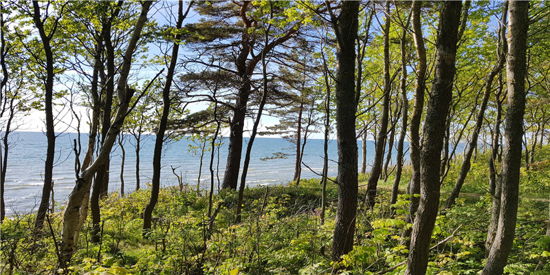 lol空白名字生成器(英雄联盟手游发布)