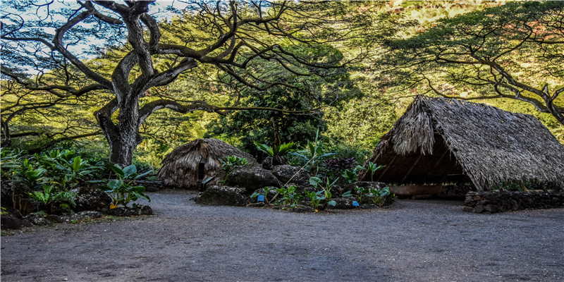 梦到别人怀孕了是什么意思周公解梦(做梦梦见别人怀孕是什么意思)
