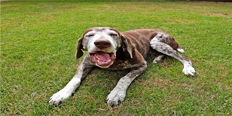 如何用脑科学的方式打开传统骨相学?