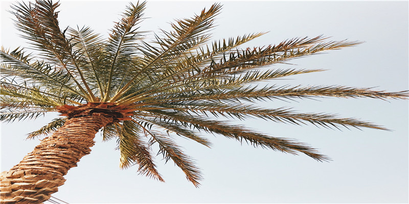 2020年21岁是哪年出生的(2020年21岁是零几年的)