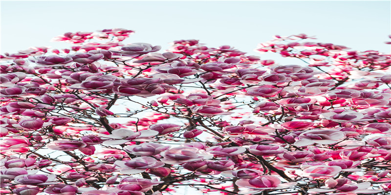 八字纯阴的女人命运.jpg 八字纯阴的女人命运.jpg