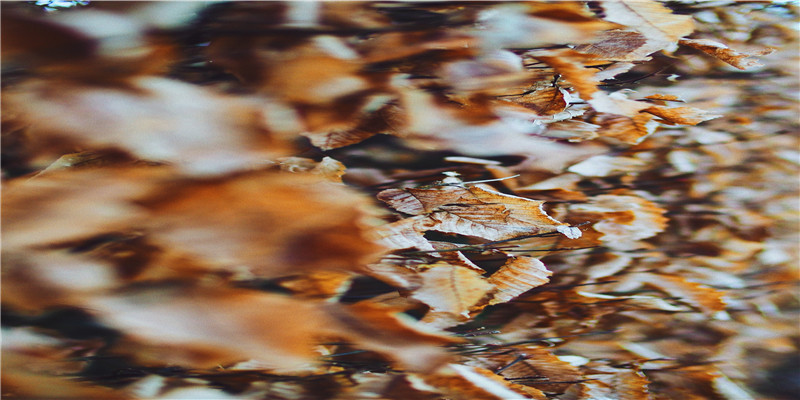 2006年是什么年(2006年出生的现在多少岁)