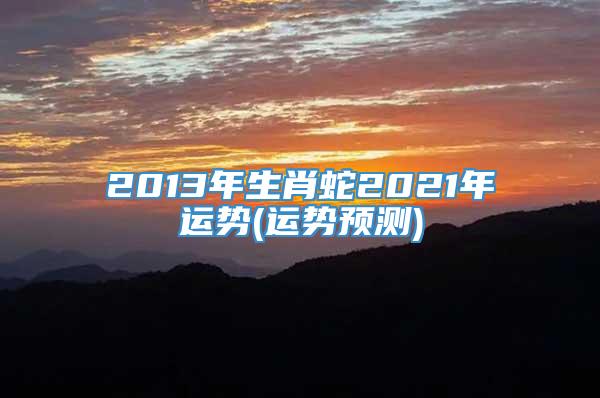 2013年生肖蛇2021年运势(运势预测)