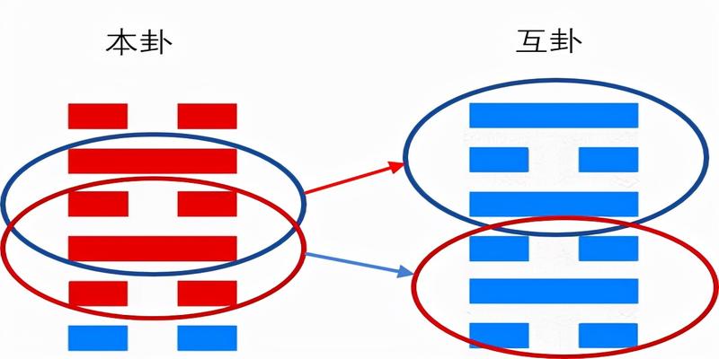 梅花易数有多少卦象?如何往复循环的?