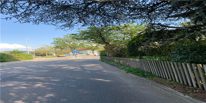 淡雅不俗的女孩名字2020鼠年